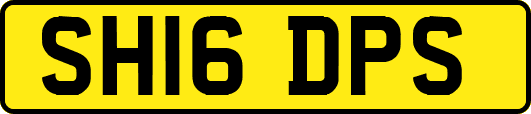 SH16DPS