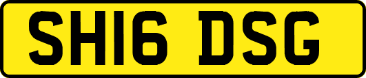 SH16DSG