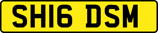 SH16DSM