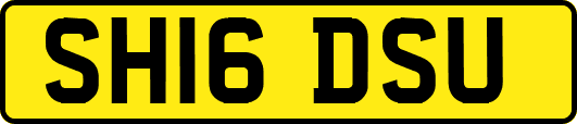 SH16DSU