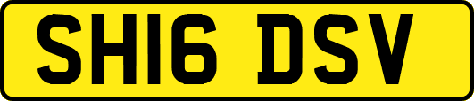SH16DSV