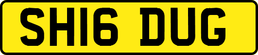 SH16DUG