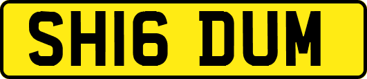 SH16DUM