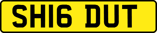 SH16DUT
