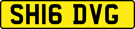 SH16DVG