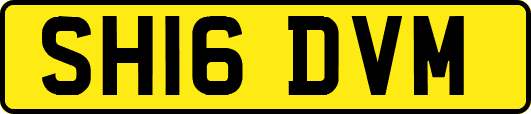 SH16DVM