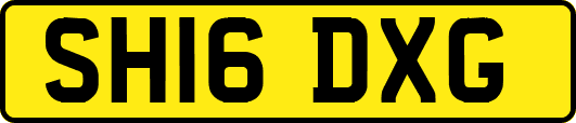 SH16DXG