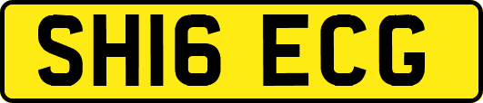 SH16ECG
