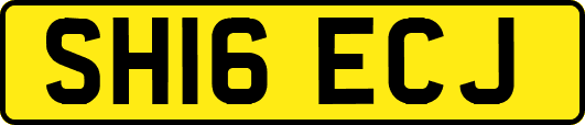 SH16ECJ