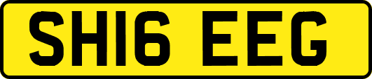 SH16EEG