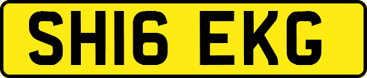 SH16EKG