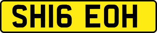 SH16EOH