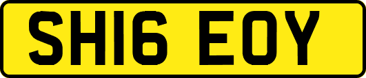 SH16EOY