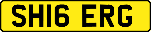 SH16ERG