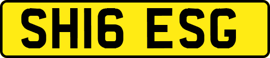 SH16ESG