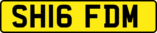 SH16FDM