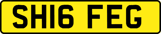 SH16FEG
