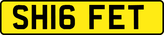 SH16FET