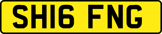 SH16FNG