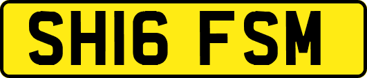 SH16FSM