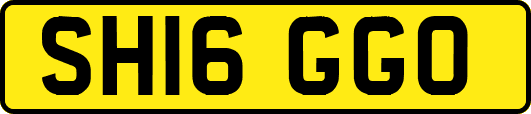 SH16GGO