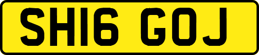 SH16GOJ