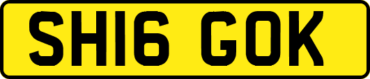 SH16GOK