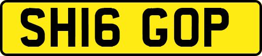 SH16GOP