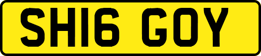 SH16GOY