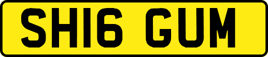 SH16GUM
