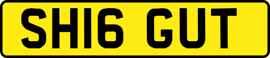 SH16GUT
