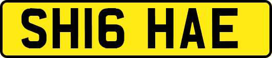 SH16HAE