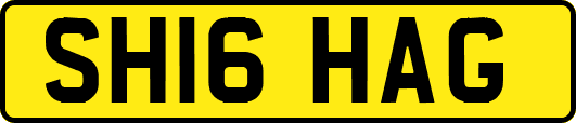 SH16HAG
