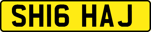 SH16HAJ