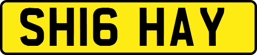 SH16HAY