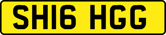 SH16HGG