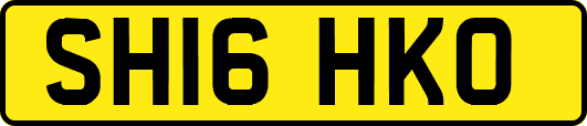 SH16HKO