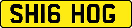 SH16HOG