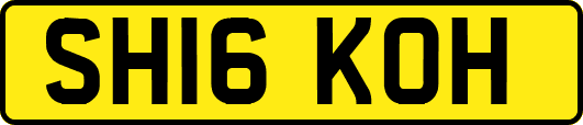 SH16KOH