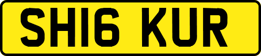 SH16KUR