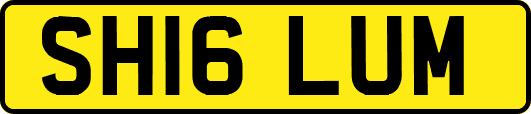 SH16LUM