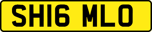 SH16MLO