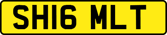 SH16MLT