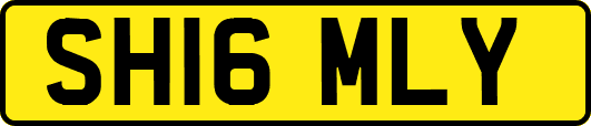 SH16MLY