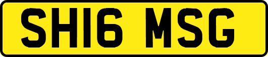 SH16MSG