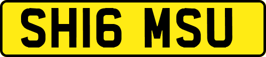 SH16MSU