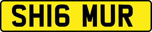 SH16MUR