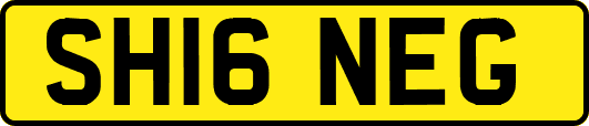SH16NEG