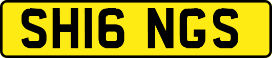 SH16NGS