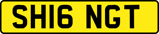 SH16NGT